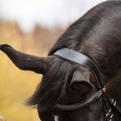 Kieffer Briglia Vera Nero/Marrone