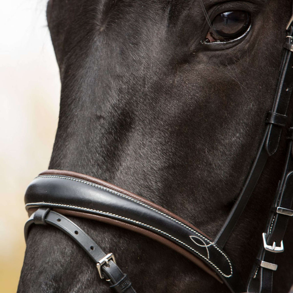 Kieffer Briglia Vera Nero/Marrone