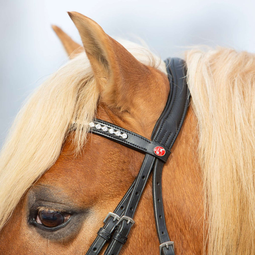 Kieffer Briglia Ultrasoft Haflinger Nero/Bianche Pietre