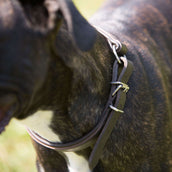 Kieffer Collare per Cane Ultrasoft Dressage Nero