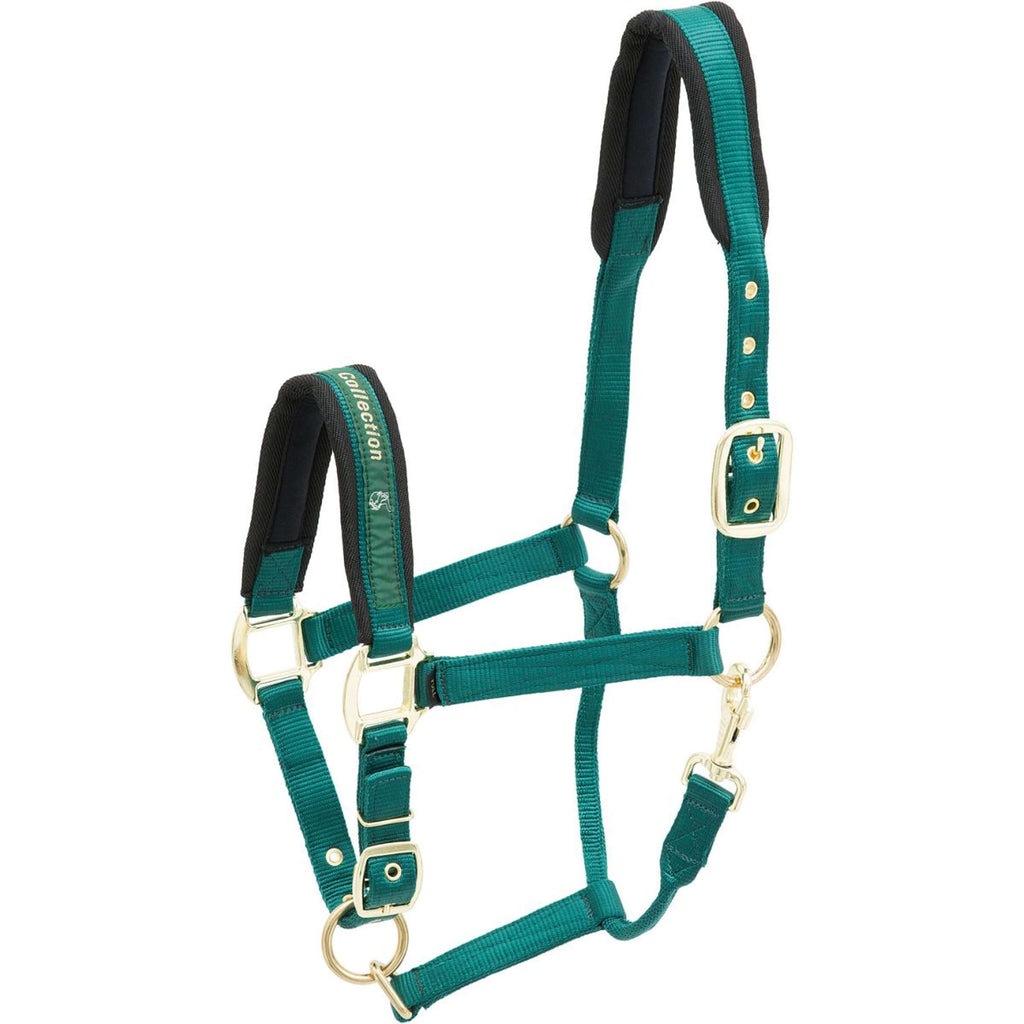 Kieffer Cavezza Nylon Verde