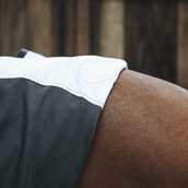 Kentucky Horsewear Dorso magnetico Recuptex