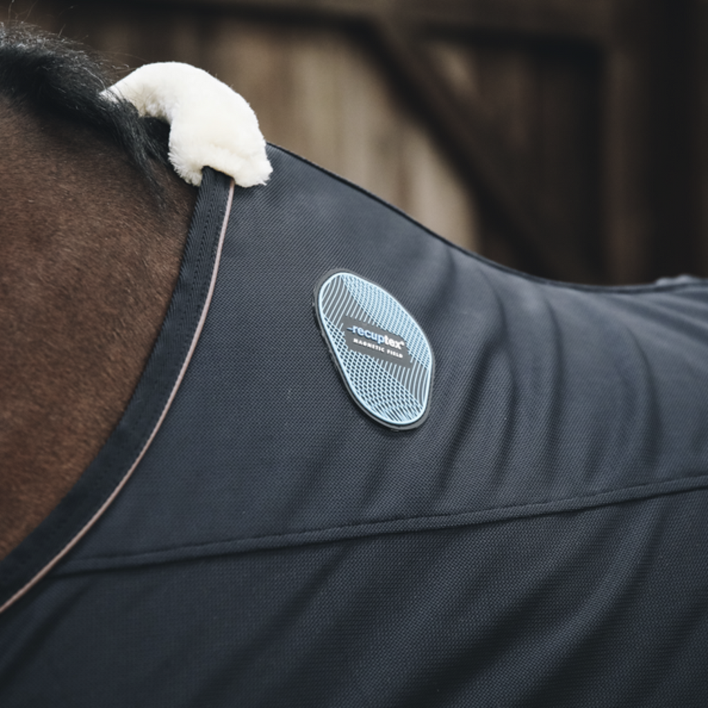 Kentucky Horsewear Dorso magnetico Recuptex