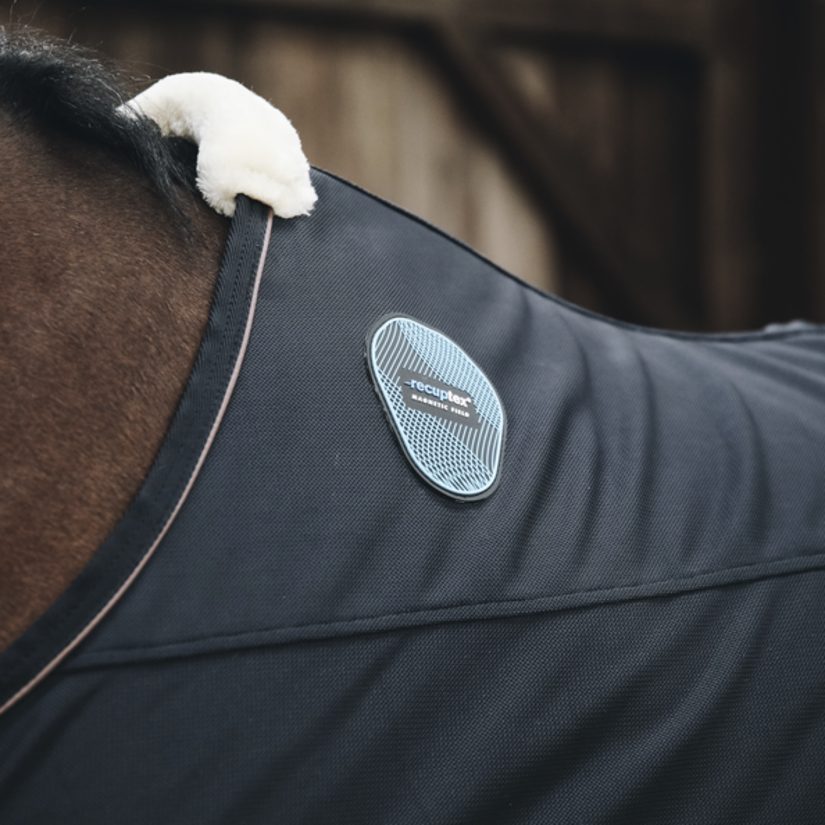 Kentucky Horsewear Dorso magnetico Recuptex