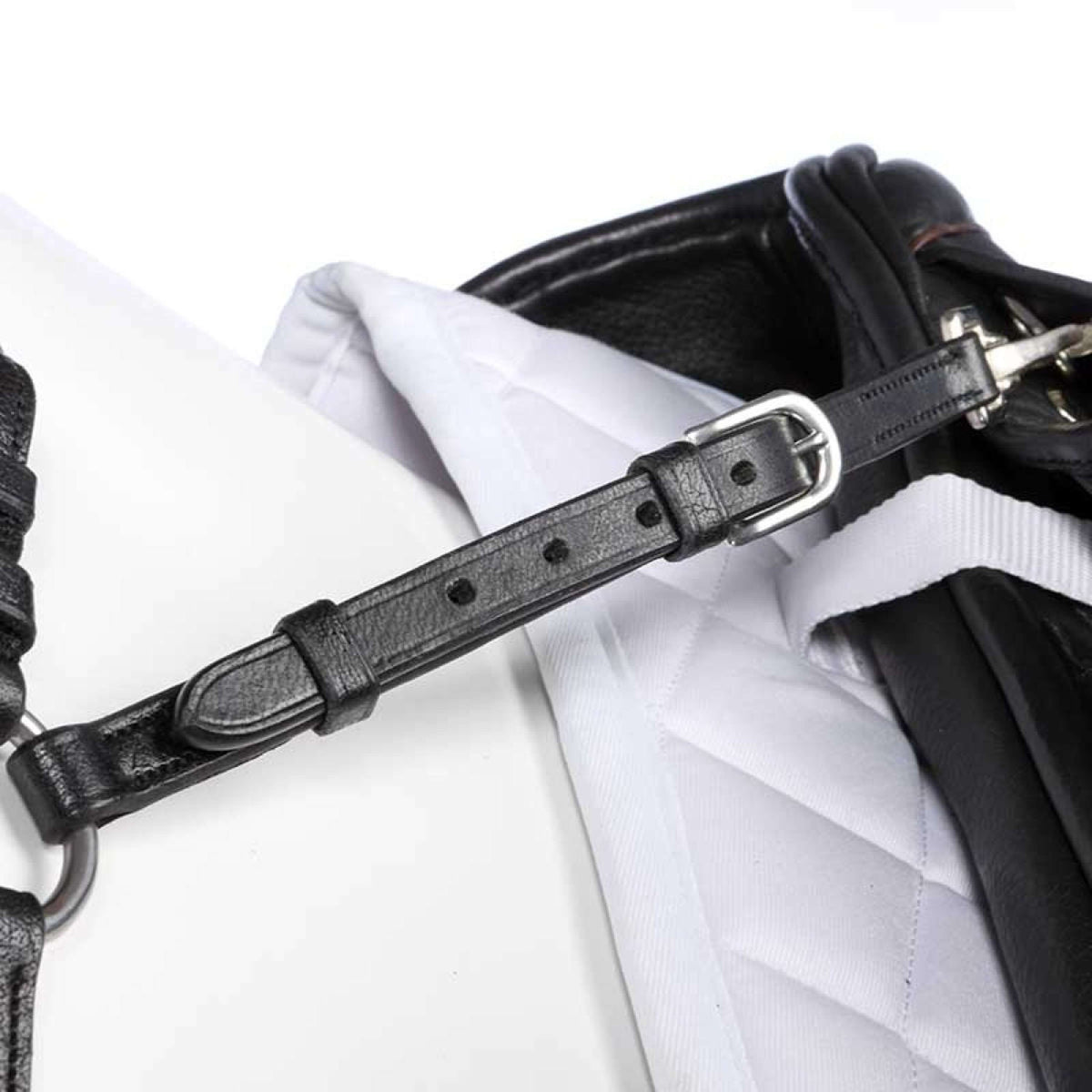 Kavalkade Pettorina Caya Nero