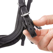 Kavalkade Briglia Caliano Nero/Argento