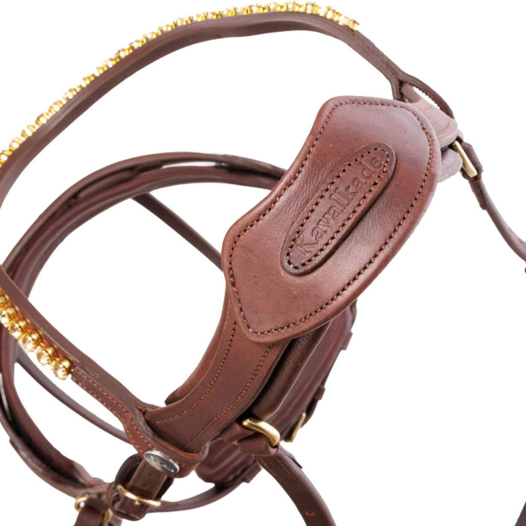 Kavalkade Briglia Caliano Marrone/Ottone