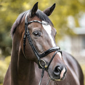 Kavalkade Briglia Ivana Nero