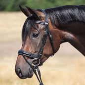 Kavalkade Filetto Ivy IR Nero