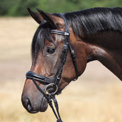 Kavalkade Filetto Ivy IR Nero