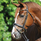 Kavalkade Filetto Clinchesse Marrone/Ottone
