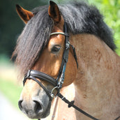 Kavalkade Filetto Clinchesse Marrone/Argento