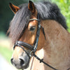 Kavalkade Filetto Clinchesse Marrone/Argento