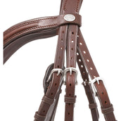 Kavalkade Briglia Everana Hannover Marrone