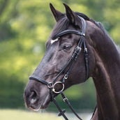 Kavalkade Briglia Everana Hannover Nero