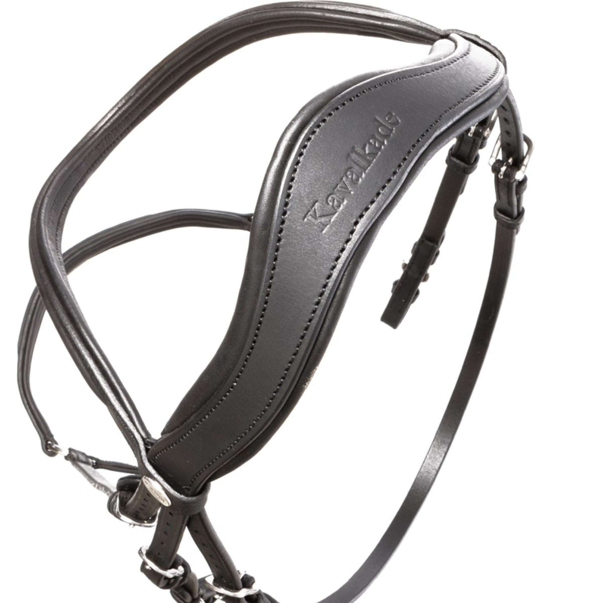 Kavalkade Briglia Everana Hannover Nero