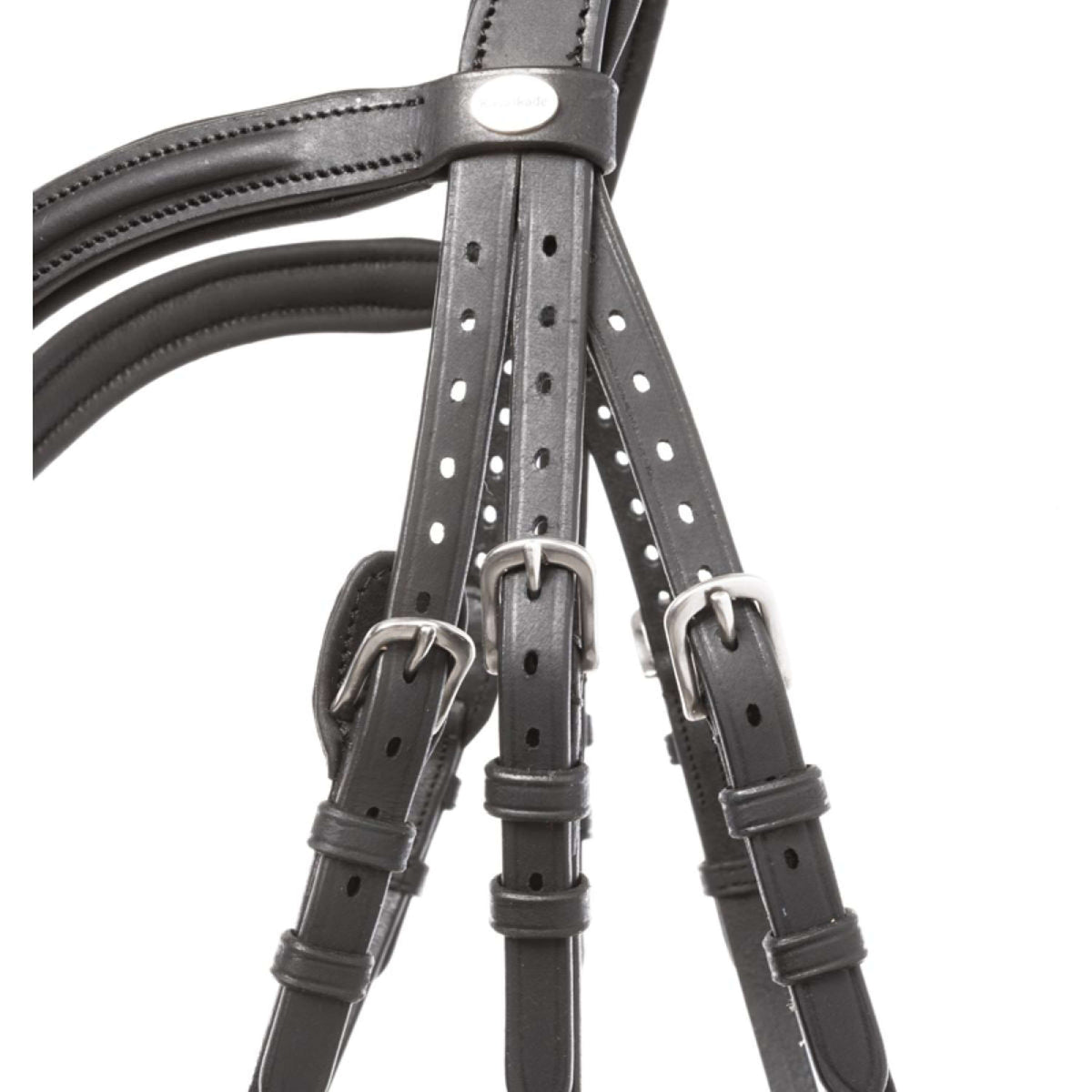 Kavalkade Briglia Everana Hannover Nero