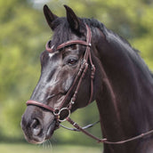 Kavalkade Briglia Everana Hannover Marrone