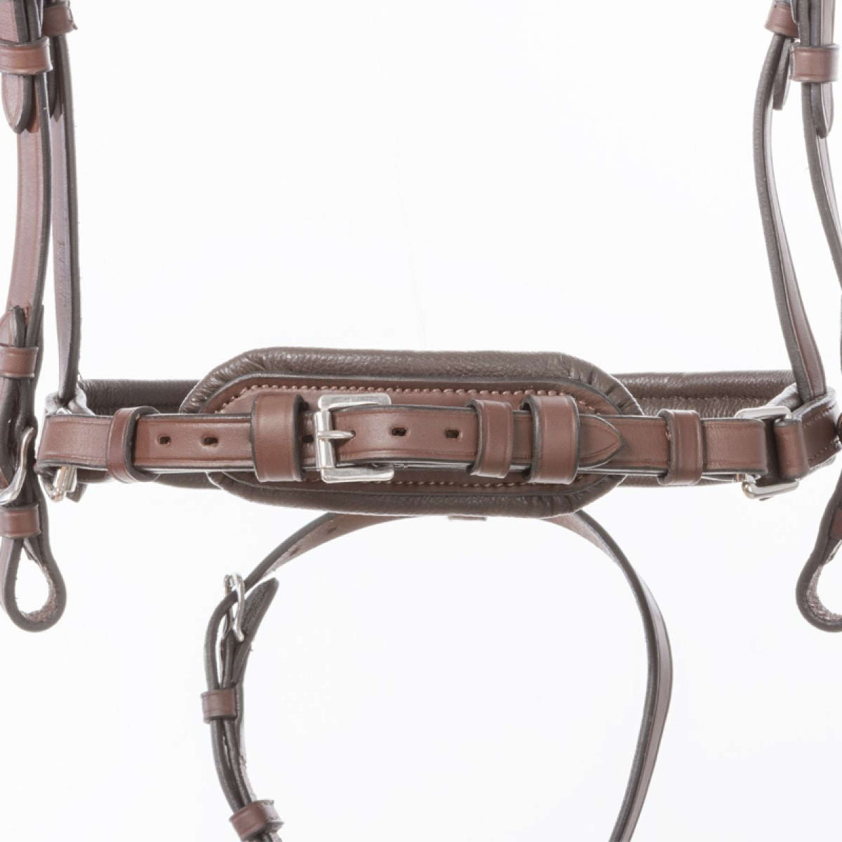 Kavalkade Briglia Proline-Astrid Marrone