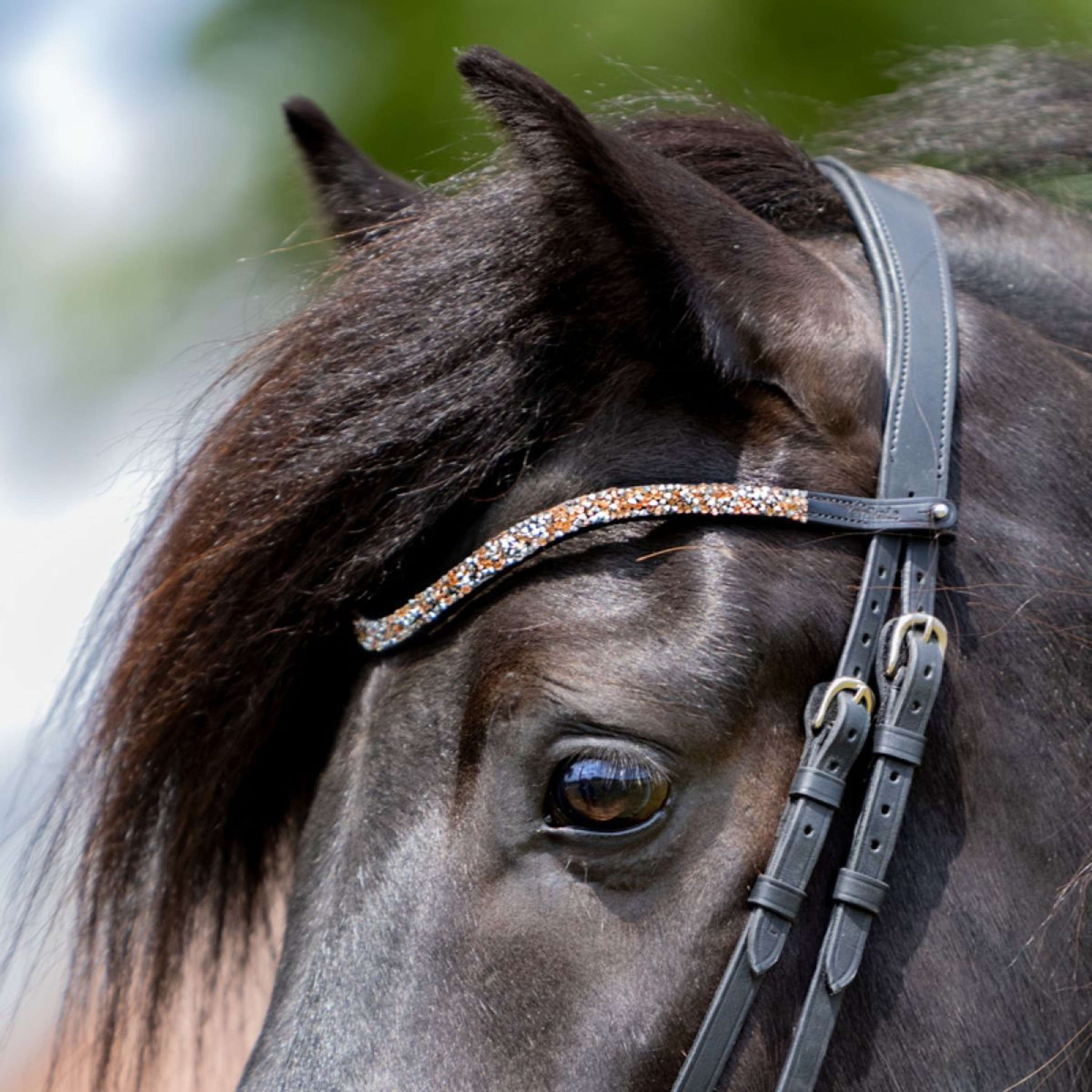 Kavalkade Frontalino Button Chiusura con bottoni Candy