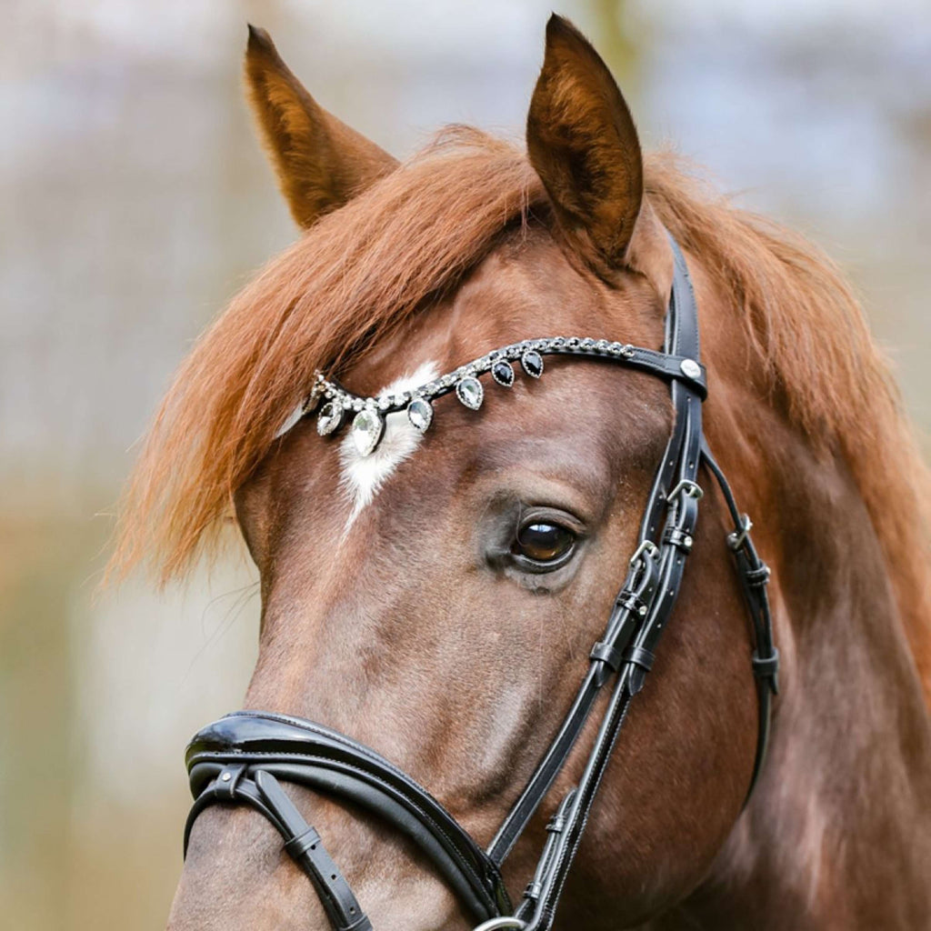 Kavalkade Frontalino Empress Nero/Bianco