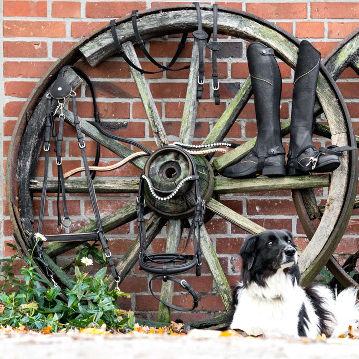 Kavalkade Redini Cortica Vegane Nero