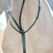 Kavalkade Martingala Ecoline Nero