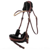 Kavalkade Imbottitura Caliano Via Nero