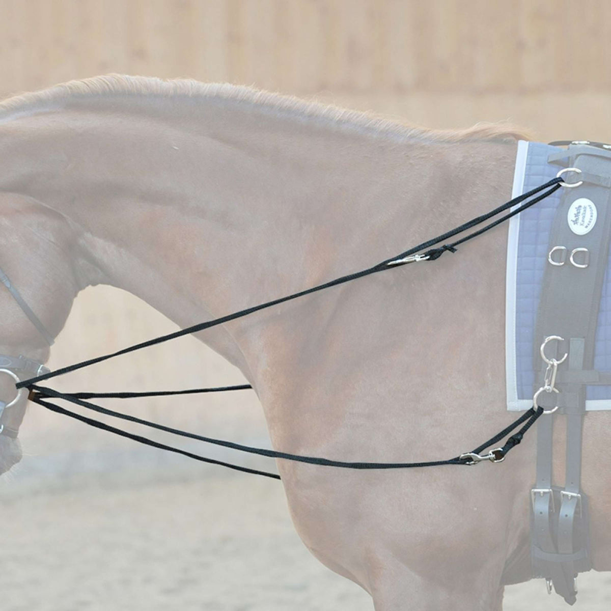 Kavalkade Redini fisse Easy Nero