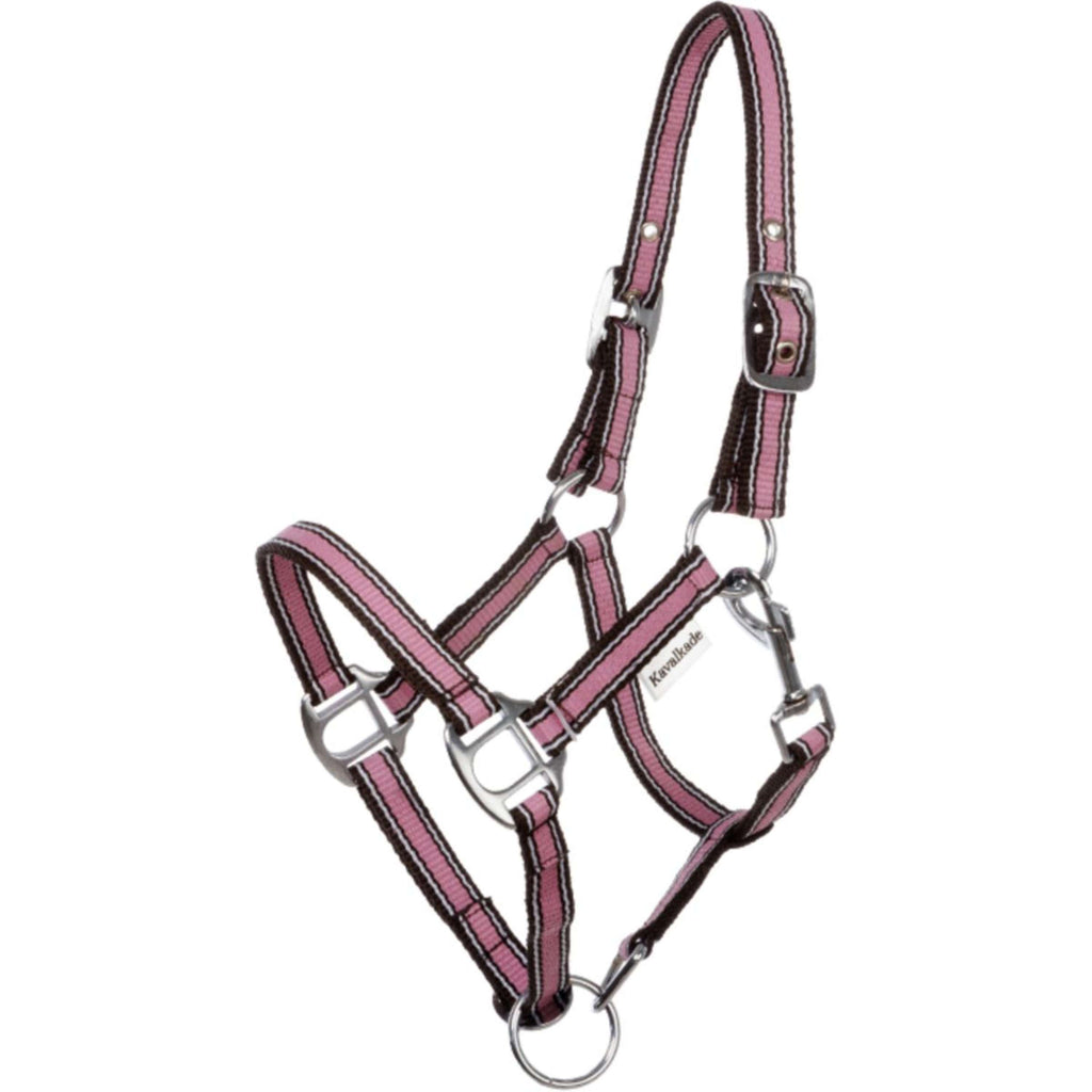Kavalkade Cavezza Shorty Rosa