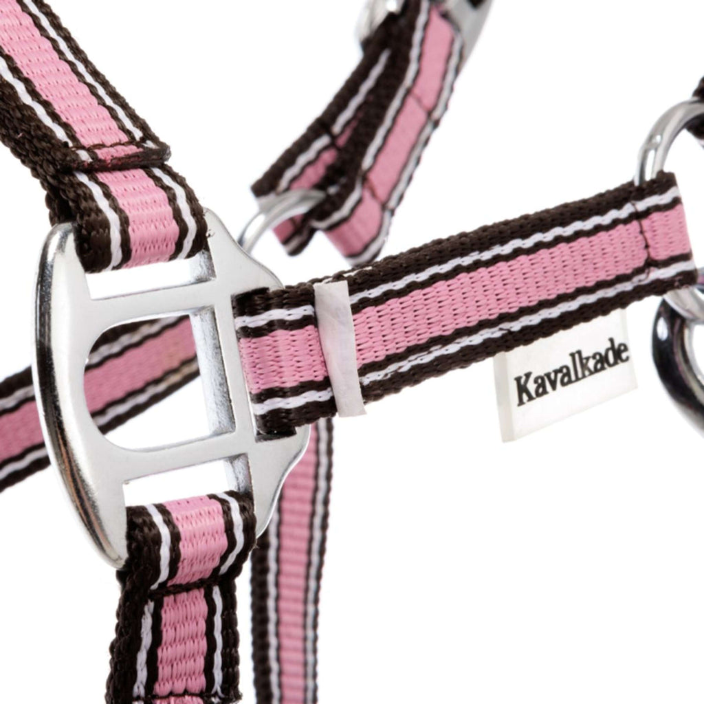 Kavalkade Cavezza Shorty Rosa