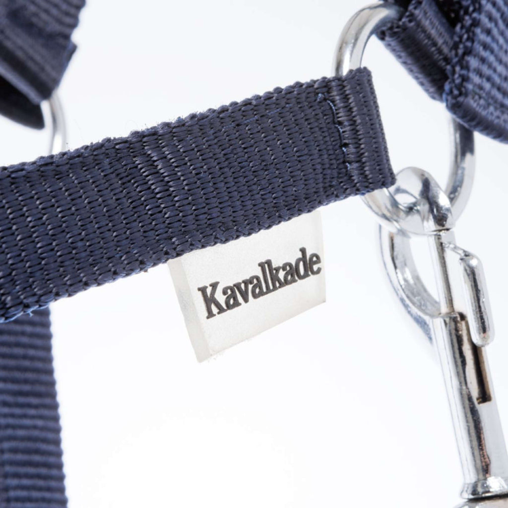 Kavalkade Cavezza Shorty Navy