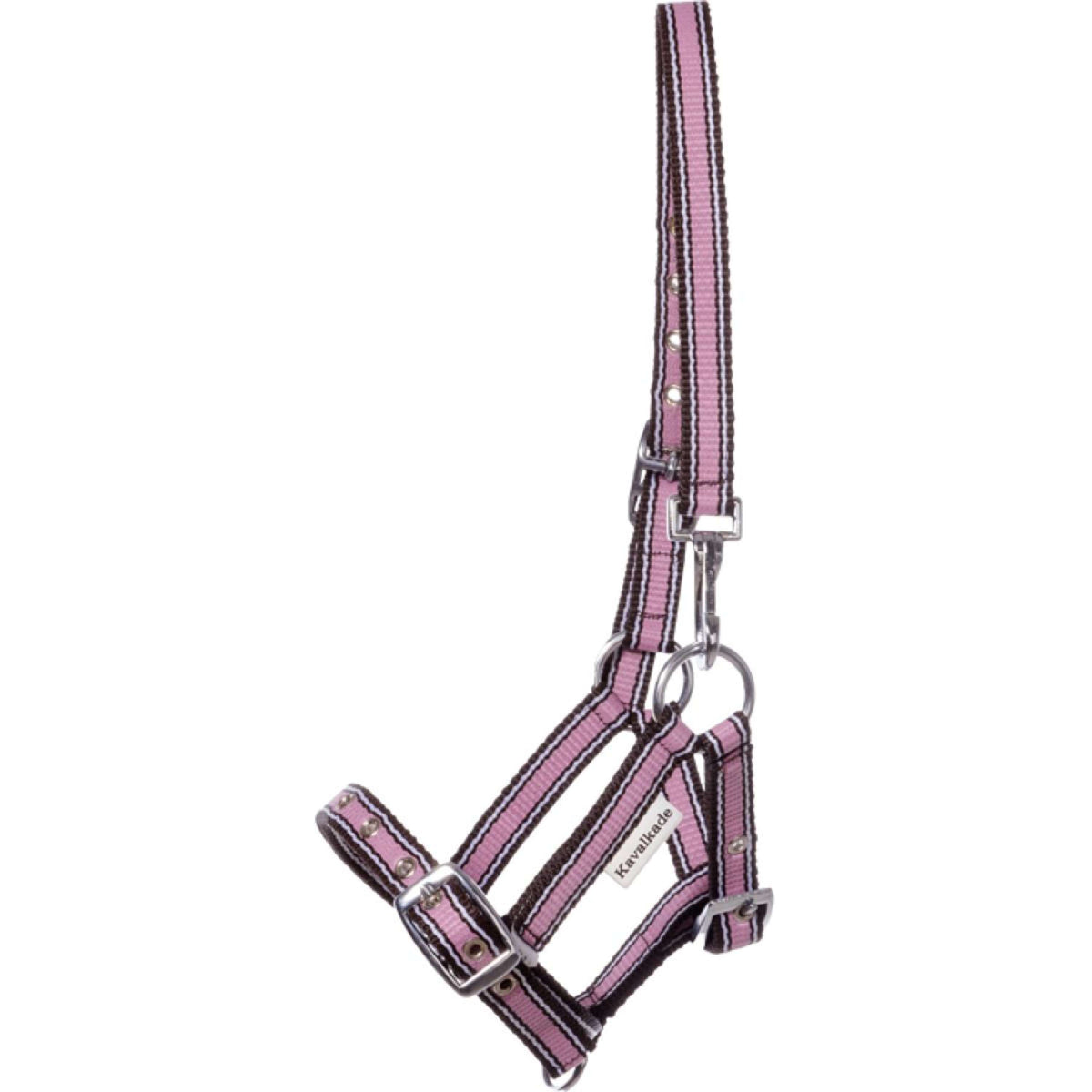 Kavalkade Capezzina Foal/Yearling Rosa/Marrone/Bianco