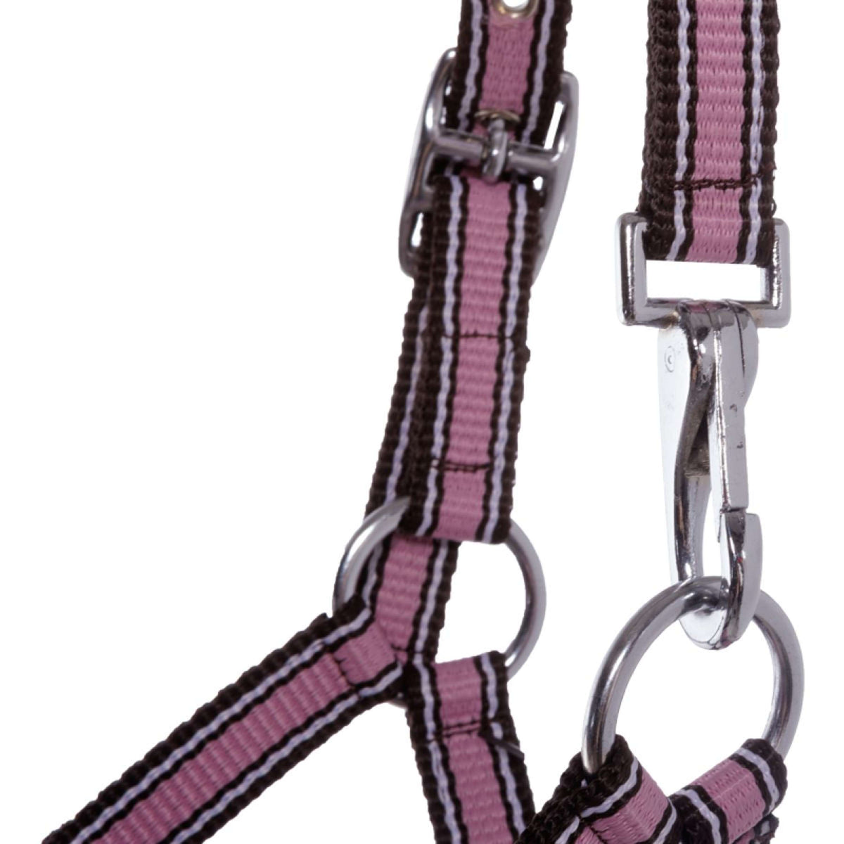 Kavalkade Capezzina Foal/Yearling Rosa/Marrone/Bianco