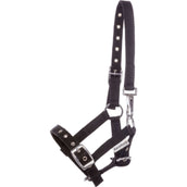 Kavalkade Capezzina Puledro e Yearling Blu