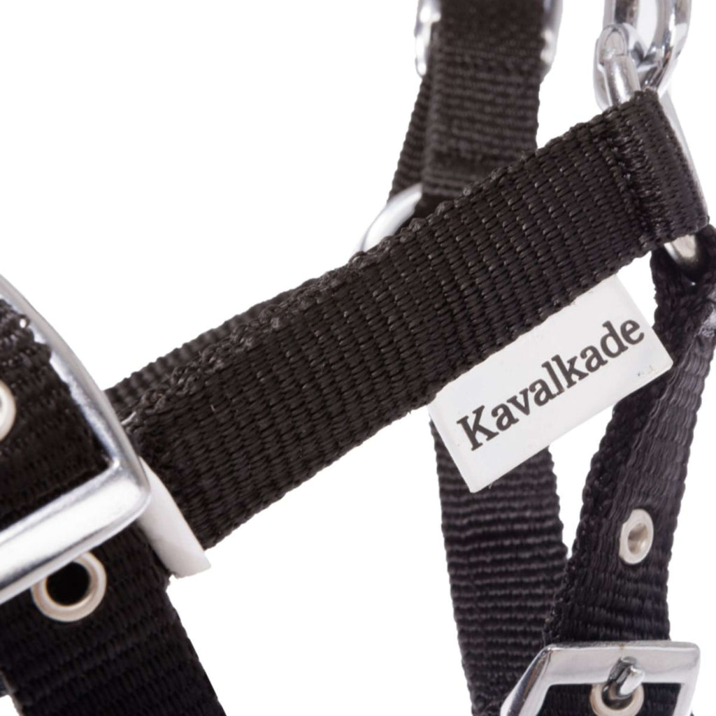 Kavalkade Cavezza per Puledro e Yearling Blu