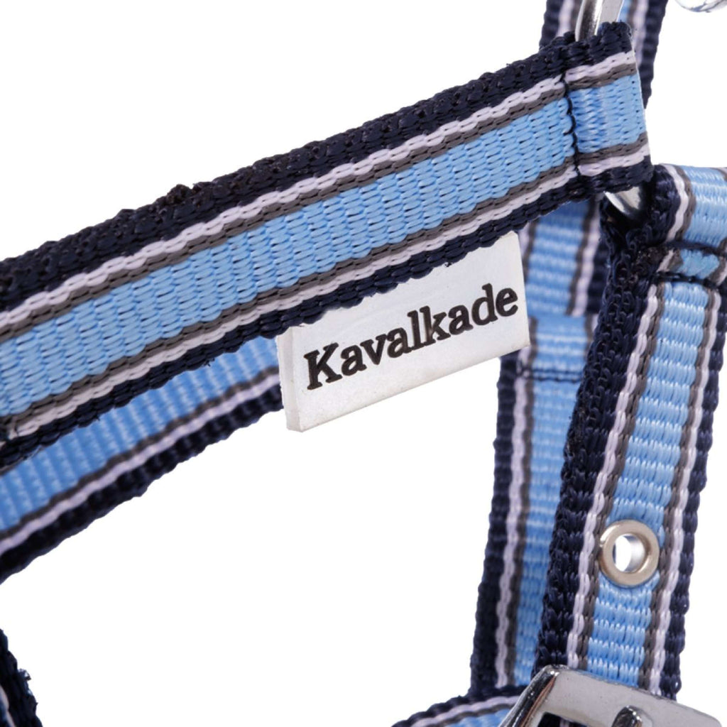 Kavalkade Cavezza Foal/Yearling Azzurro/Blu navy/Bianco