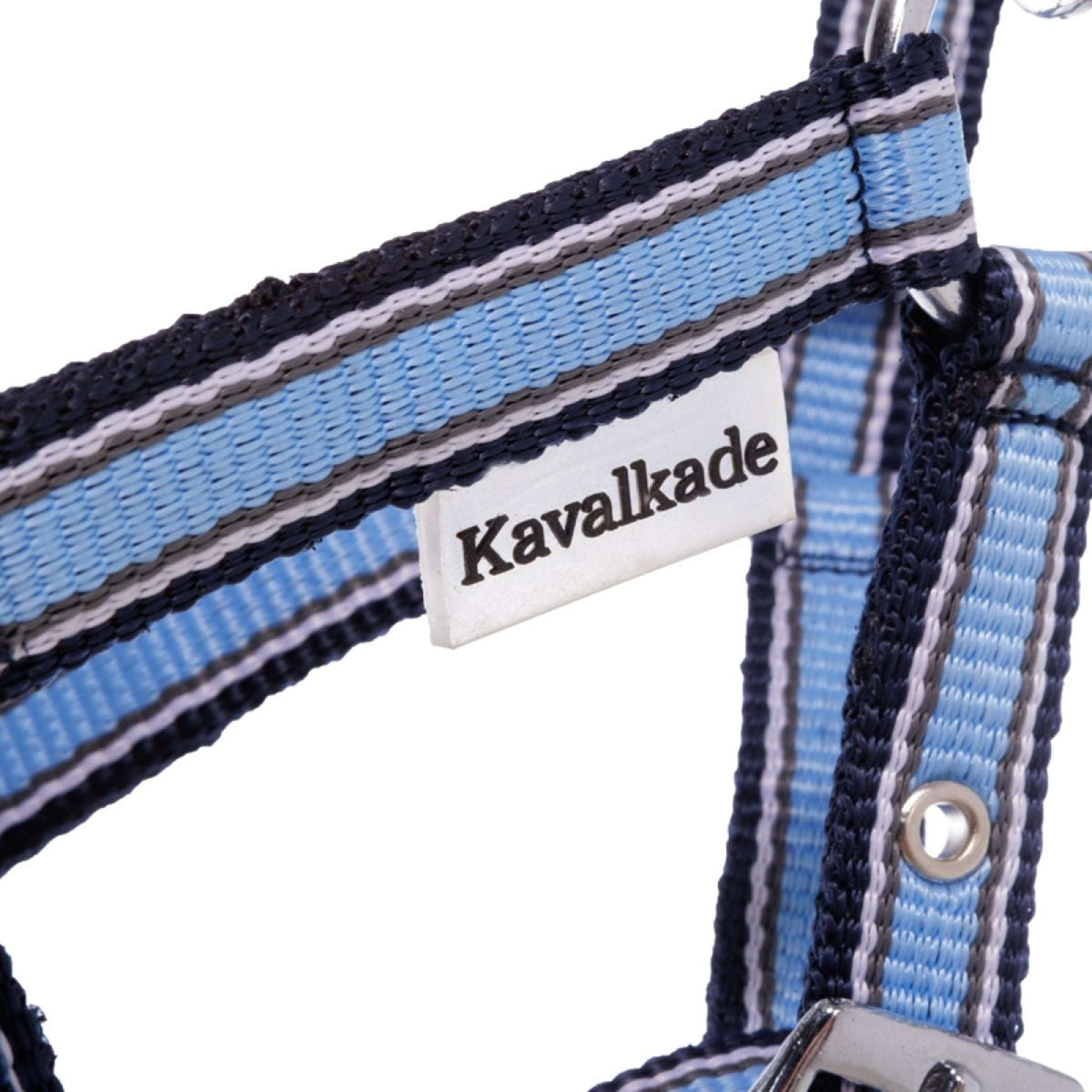 Kavalkade Capezzina Foal/Yearling Azzurro/Blu navy/Bianco