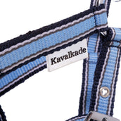 Kavalkade Capezzina Foal/Yearling Azzurro/Blu navy/Bianco