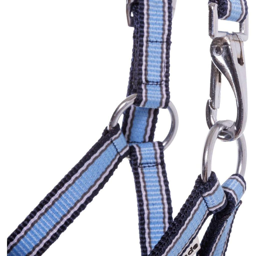 Kavalkade Cavezza Foal/Yearling Azzurro/Blu navy/Bianco