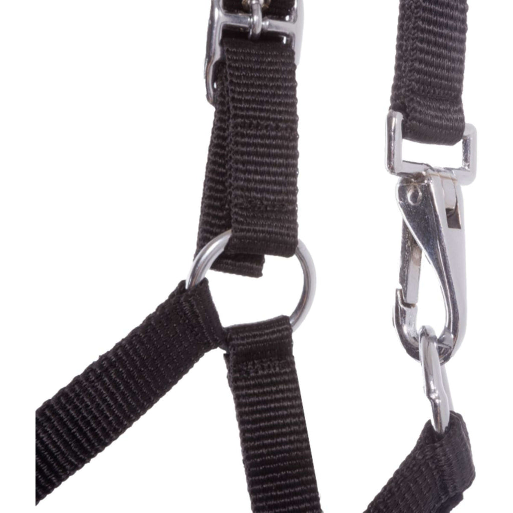 Kavalkade Cavezza per Puledro e Yearling Blu