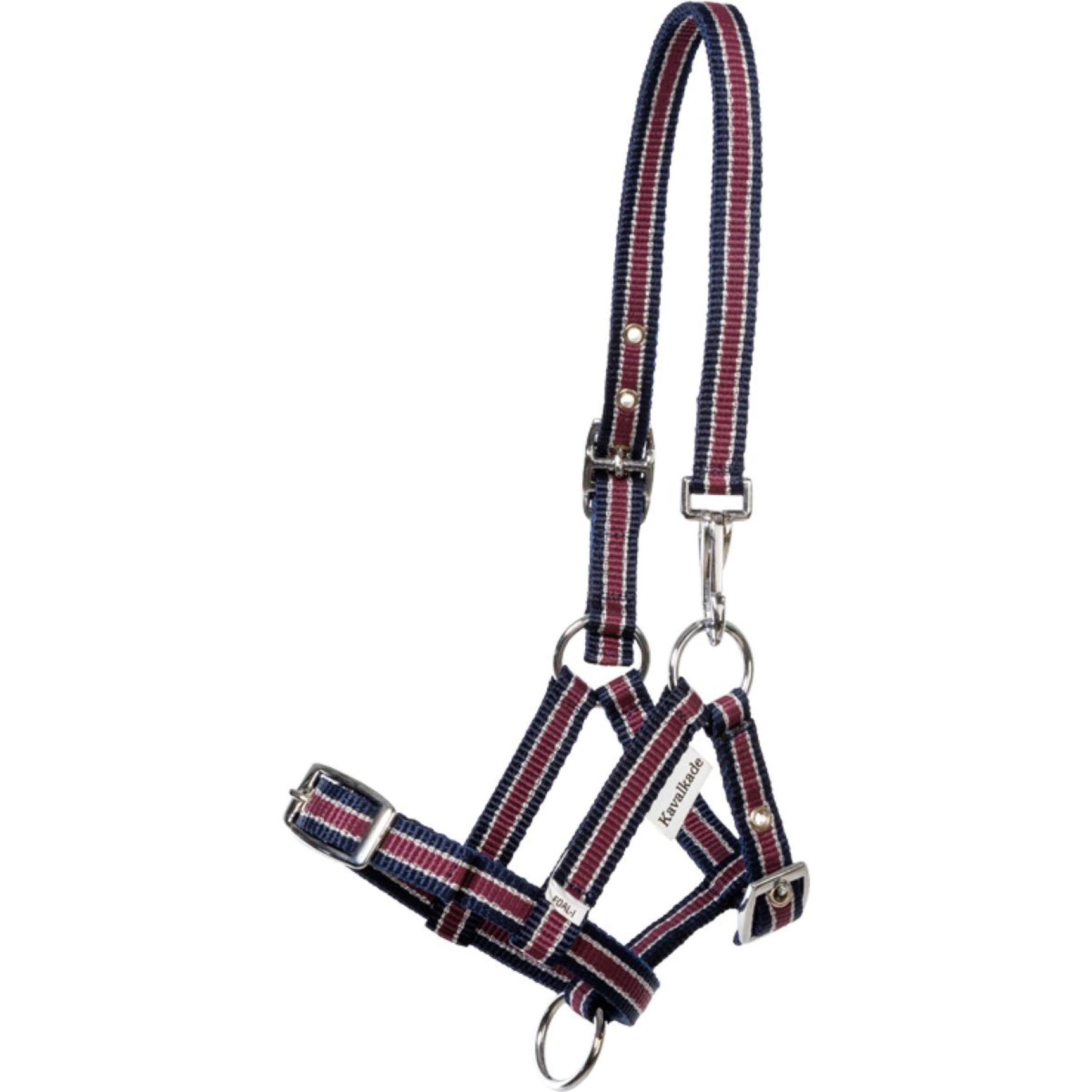 Kavalkade Cavezza Foal/Yearling Blu navy/Bordeaux/Argento