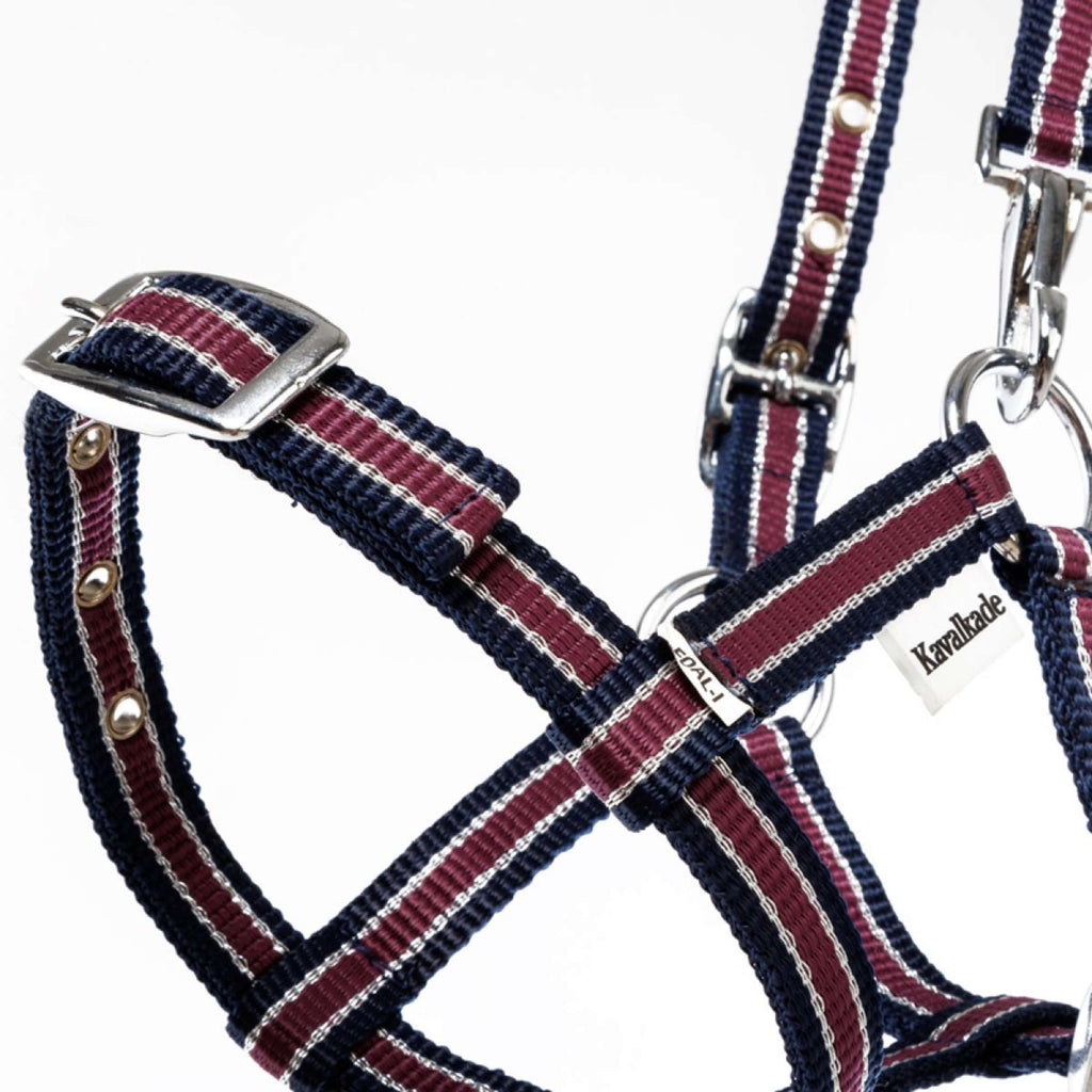 Kavalkade Cavezza Foal/Yearling Blu navy/Bordeaux/Argento