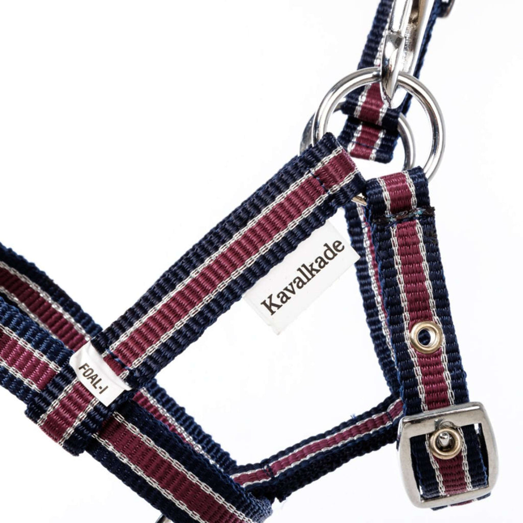 Kavalkade Cavezza Foal/Yearling Blu navy/Bordeaux/Argento
