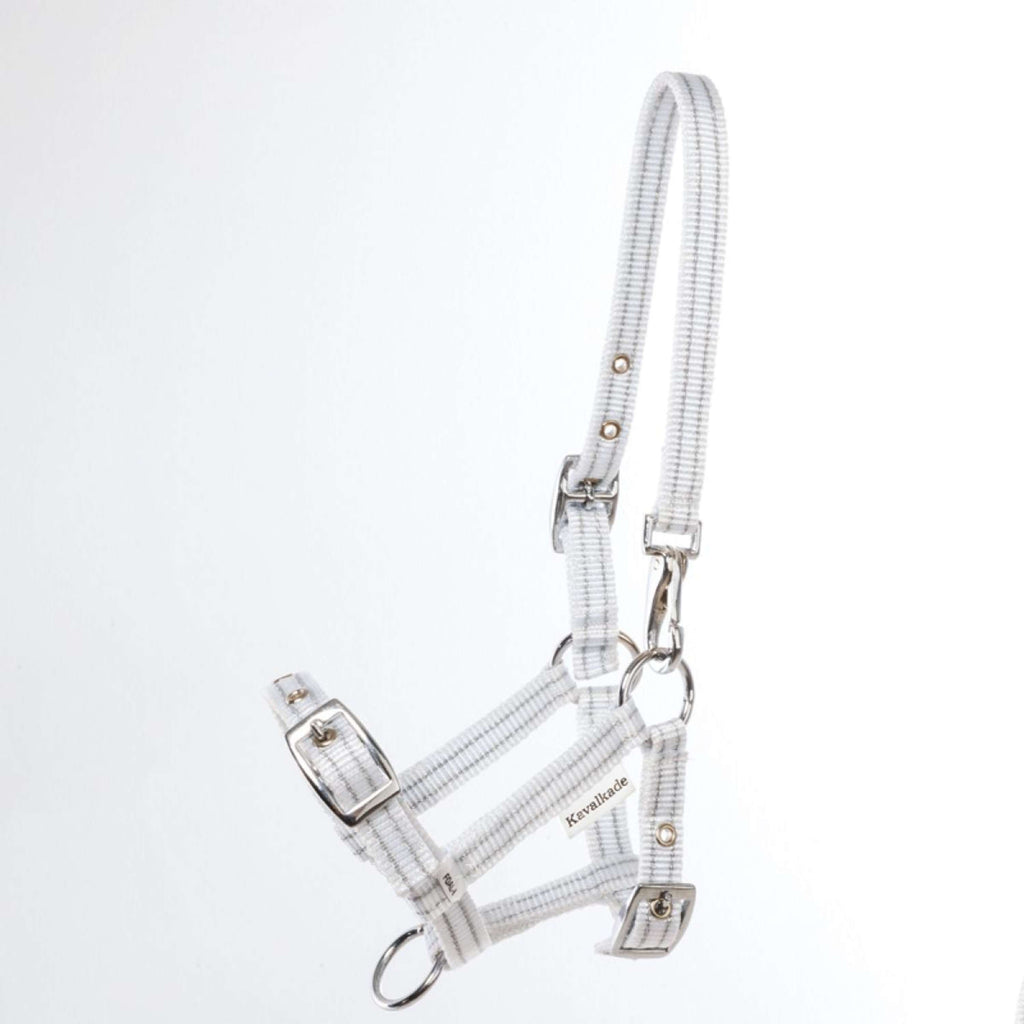 Kavalkade Cavezza Foal/Yearling Bianco/Argento