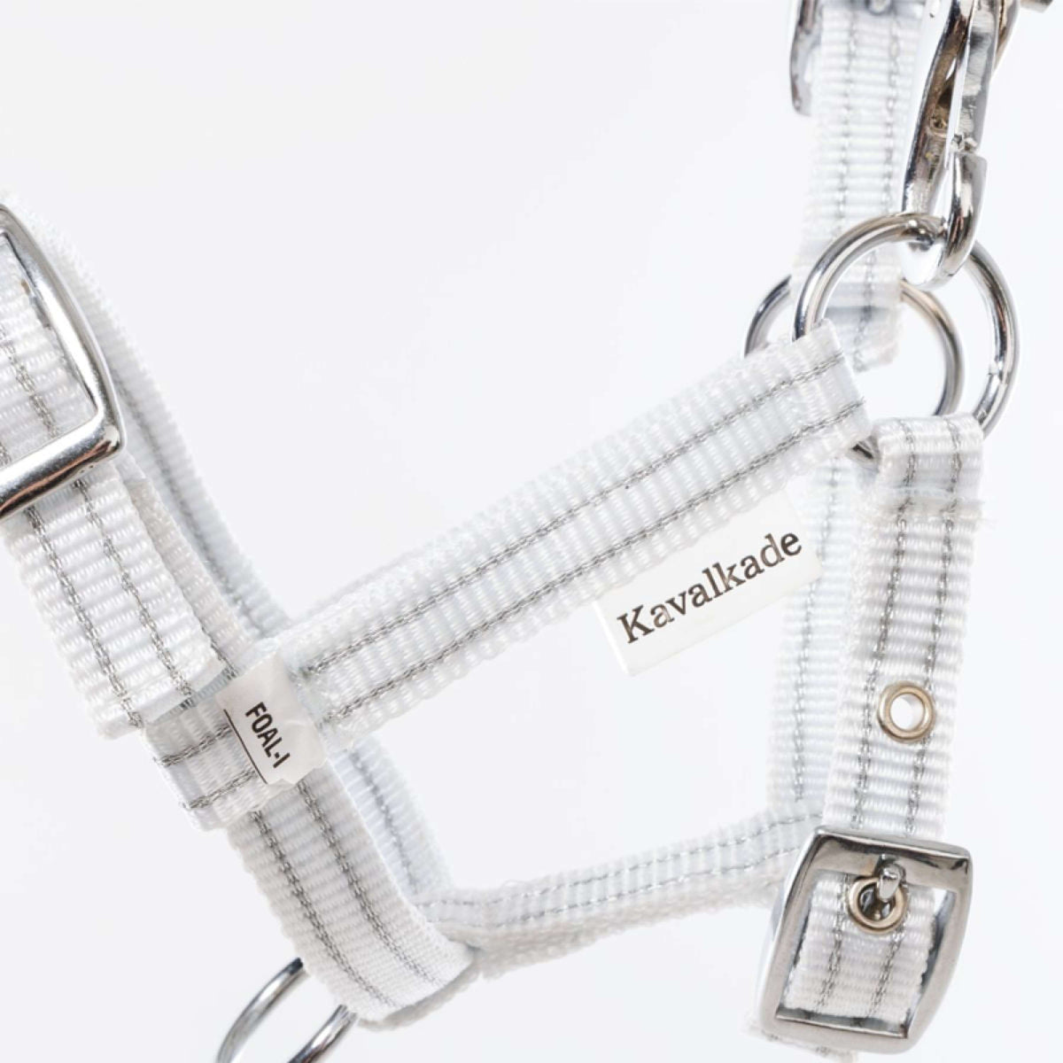 Kavalkade Capezzina Foal/Yearling Bianco/Argento