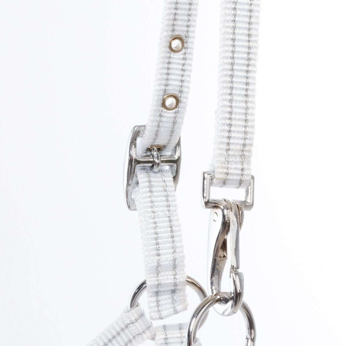 Kavalkade Capezzina Foal/Yearling Bianco/Argento