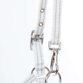 Kavalkade Capezzina Foal/Yearling Bianco/Argento