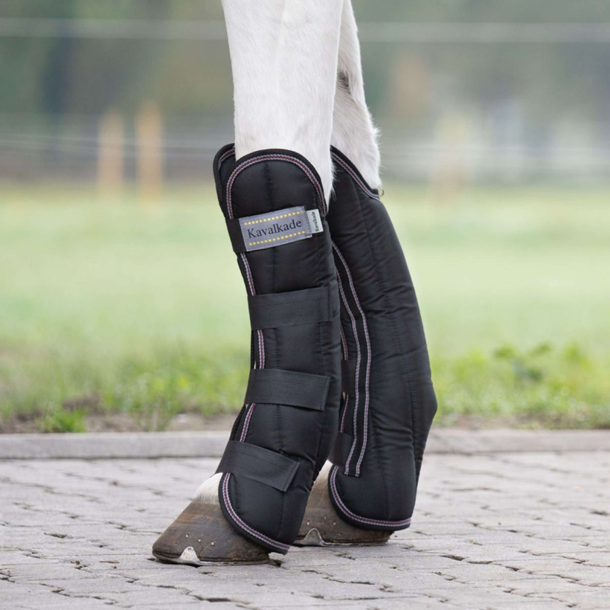 Kavalkade Protettori da trasporto Nero