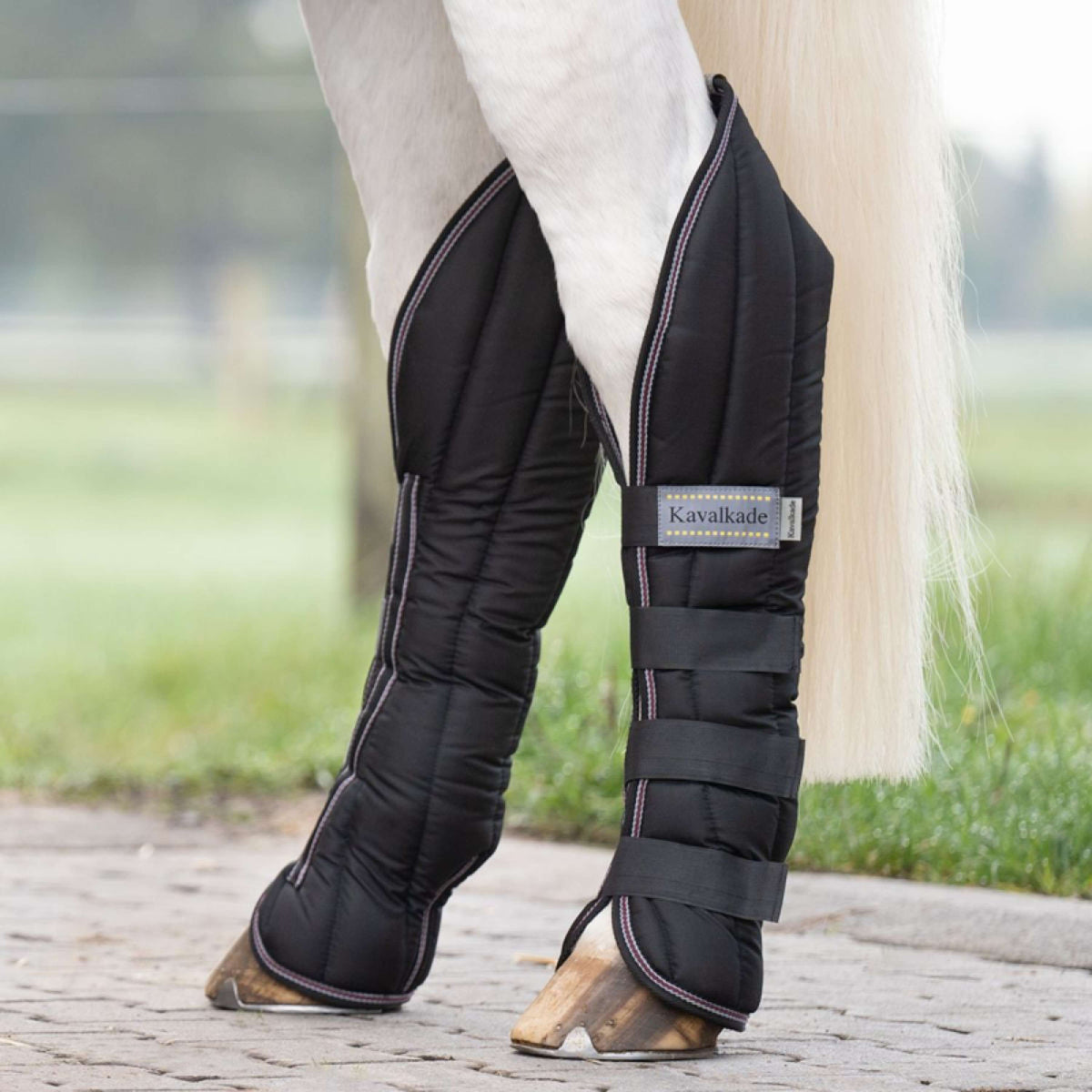 Kavalkade Protettori da trasporto Nero